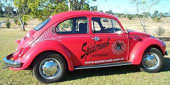 The BUG!