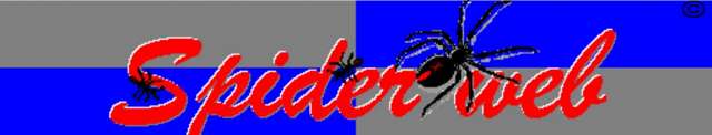Spiderweb Logo from 1997 to 1998