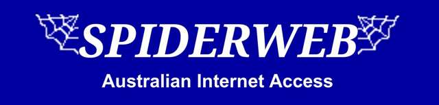 Spiderweb Logo from 2001 to 2002