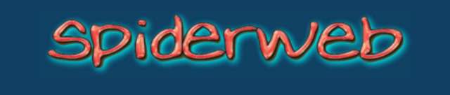 Spiderweb Logo from 2003 to 2004